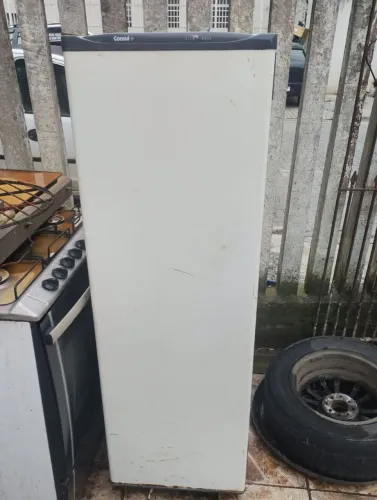Freezer vertical