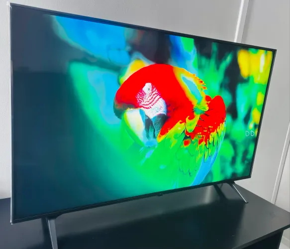 Televisão