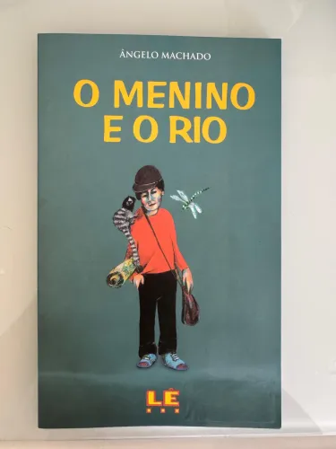 Livro O menino e o rio