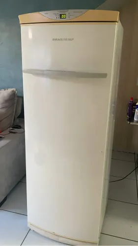 Freezer Vertical FostFree