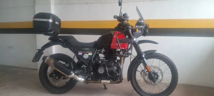 Himalayan