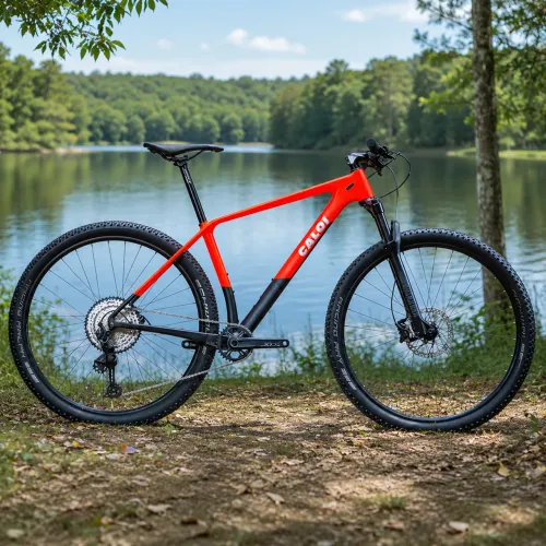Bicicleta Carbono - Caloi aro 29 - tamanho 21 - Estado de nova