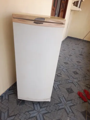 Freezer vertical