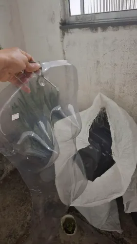 Cabides corpo e simples