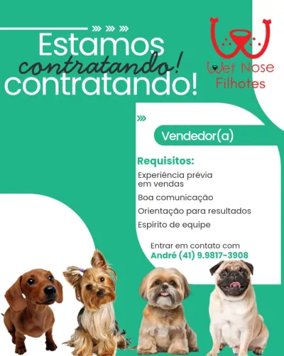 Vaga vendedor Feira de Filhotes Boqueirão 