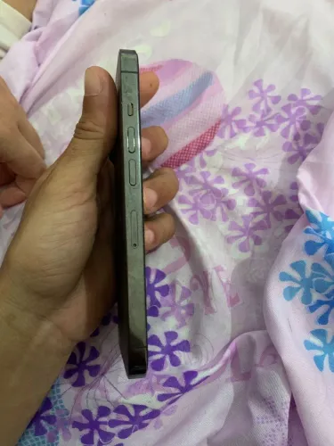 iPhone 13 pro Max 128 GB