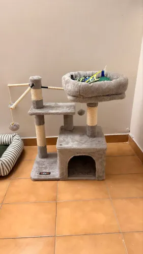 Arranhador e casinha para gatos