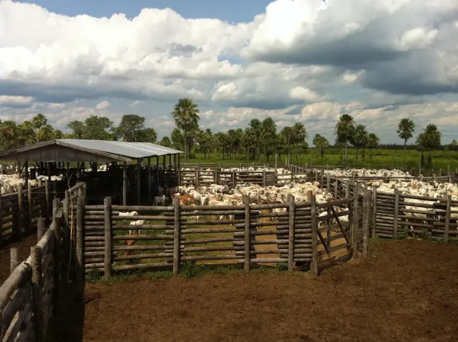 FAZENDA 7.500 HECTARES - VENDA Pantanal/MS