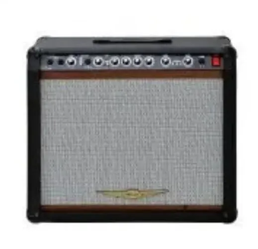 AMPLIFICADOR PARA GUITARRA ONEL OCG1501 220w 