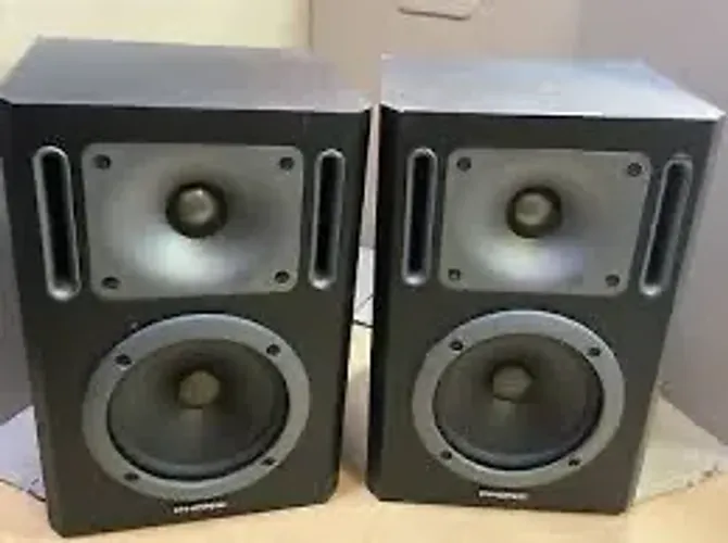 Monitores phonic P5A