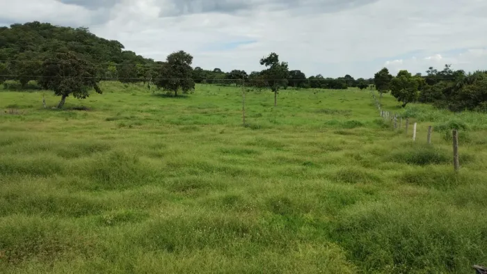 Fazenda 15 alqueires em faina GO