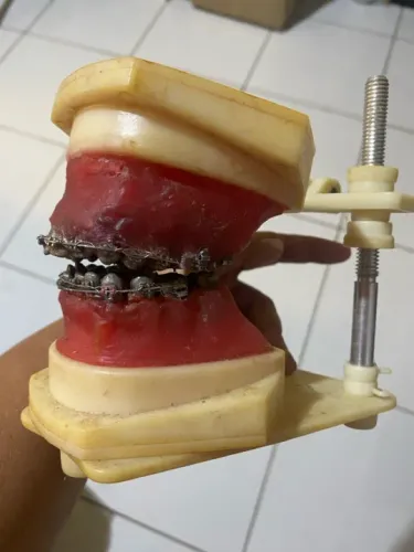 Modelo Odontológico (TYPODONT)