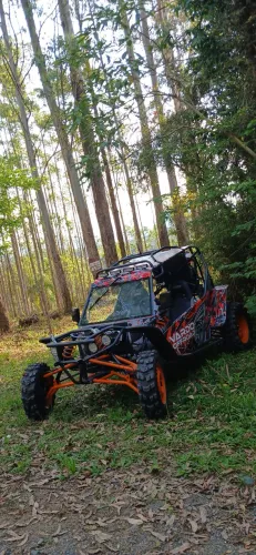 Gaiola off road