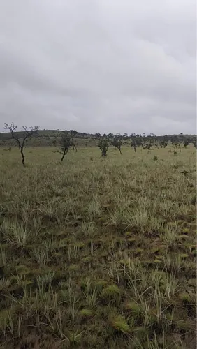 Área Rural a 140 km de Macapá, as margens da BR 156