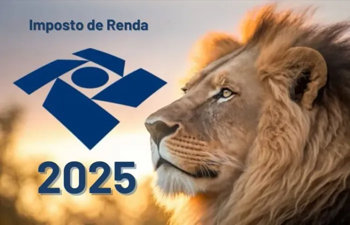 Aprender a fazer seu imposto de renda