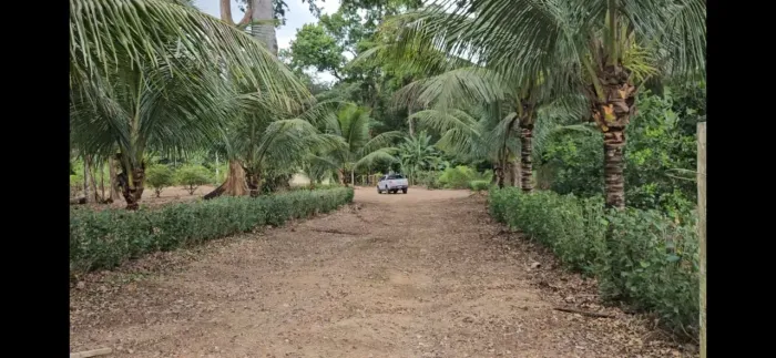Seu refúgio no campo, pertinho da cidade