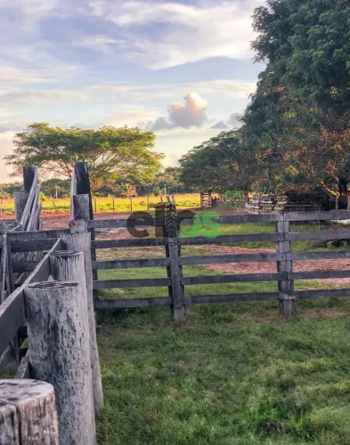 Fazenda ALTO POTENCIAL PECUÁRIA/SOJA [02 partes arrendadas], 1.530 hectares à venda por R$