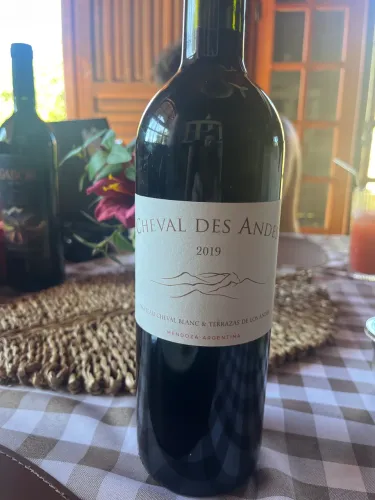 Vinho mendoza argentino - alto padrão