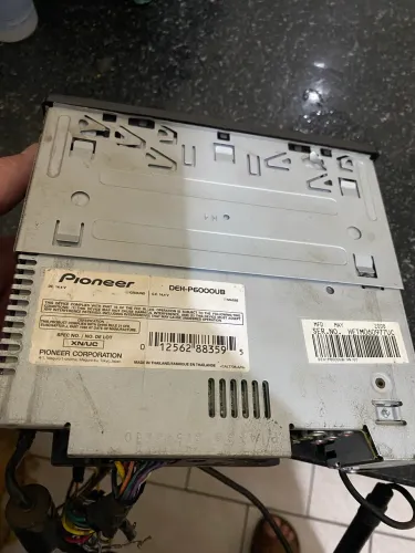 Pioneer golfinho