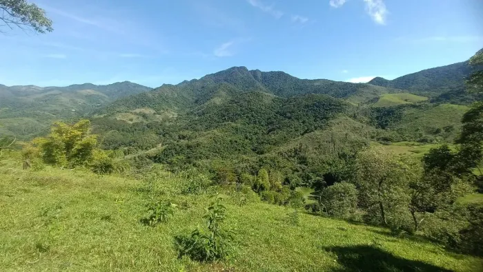 Fazenda/Sítio/Chácara para venda tem 6000 metros quadrados com 3 quartos