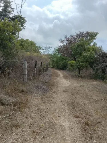 Vende-se uma terra de quase 10 auqueiros no assentamento sete irmão 