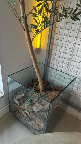 Bamboo Decorativo