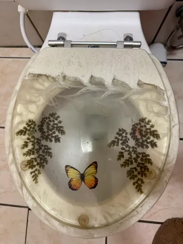 Tampa oval para vaso sanitario