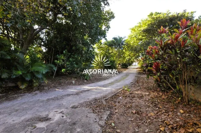 Terreno à venda Campeche Florianópolis/SC