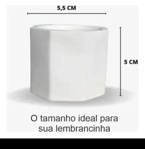 Minie vasinho de gesso para lembrancinhas ou plantas