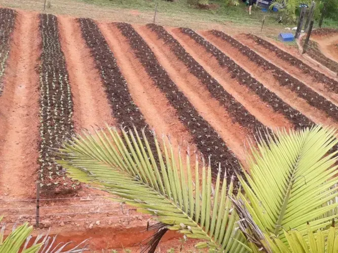 CHÁCARA COM 15 MIL METROS A VENDA NO TRÊS RIOS DO NORTE EM JARAGUÁ DO SUL