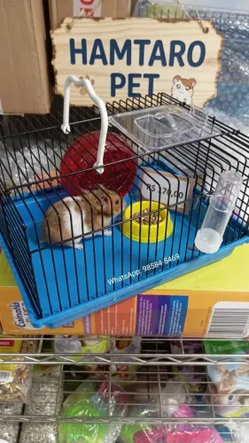 Hamster & Gaiola