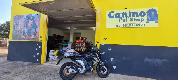 Yamaha fz25 2020 250 fazer flex