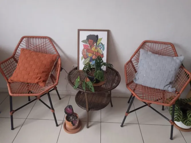 2 cadeiras Tropicália ferrugem