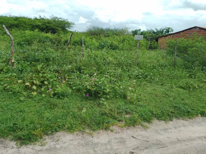 Vendo terreno em Itapipoca