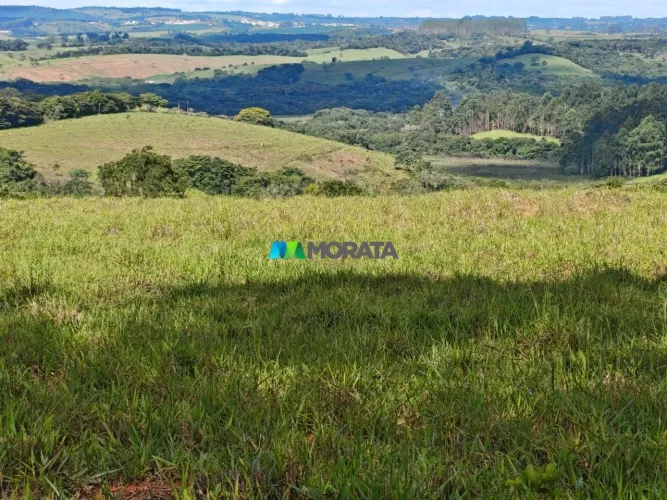 FAZENDA À VENDA - 96 HECTARES - ITUTINGA (MG)