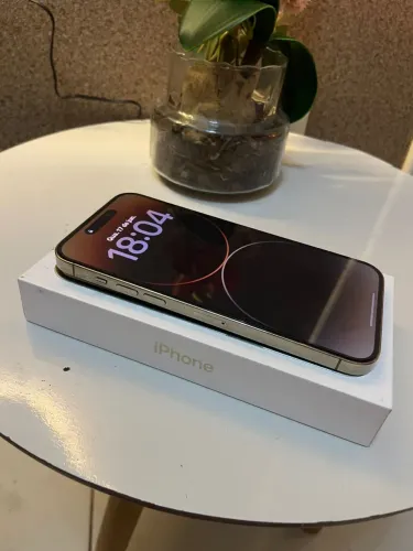 14 Pro Max 246 GB