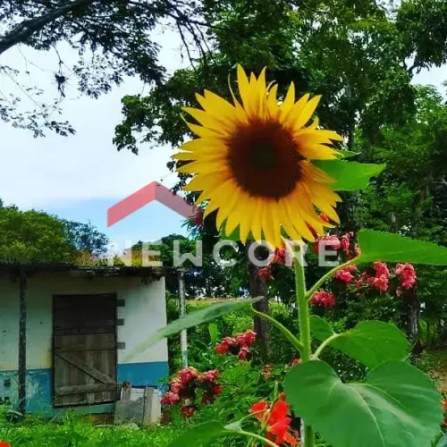 Chácara em Praça Dom Carlos Carmelo Vasconcelos Motta - Bom Retiro - São José dos Campos/S