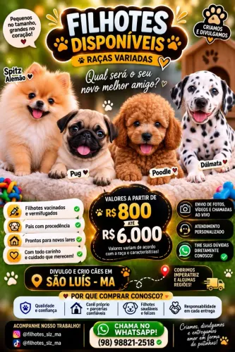 Filhotes a venda ( raças diversas ) clique aqui...