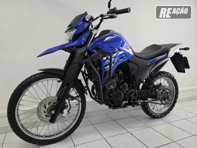 XTZ 250 LANDER 2024 / Reação Suzuki