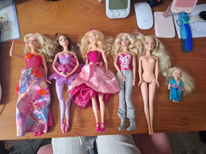 Lote grande barbies + acessorios