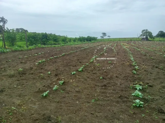 Chácara com13.000 m², povoado do Trevo Zé Rosário, 14 km da Igrejinha