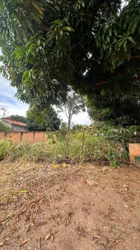 VENDO LOTE ESCRITURADO | BONFINÓPOLIS