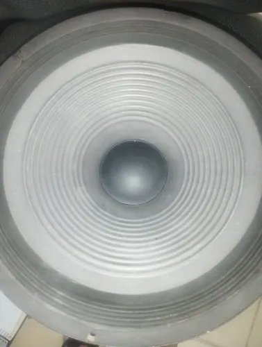 Auto falante de 15 polegadas 300 wts RMS 