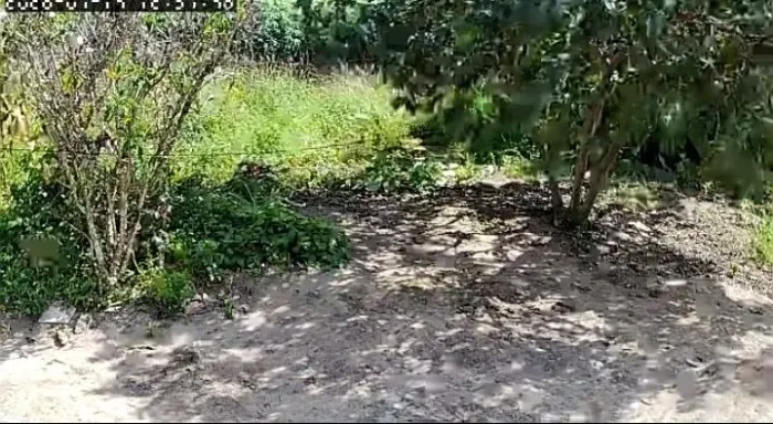 Vender 2 Tarefa e 4 braça terra casa 3 quatros 1 banheiro sala cozinha cacimba