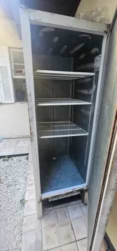 Freezer vertical