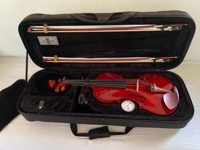 Viola de Arco Paganini Harmonizada por Luthier