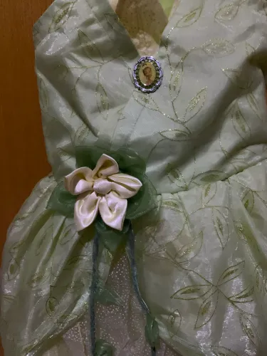 Vestido princesa tiana