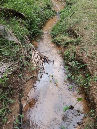 Sítio à Venda com 8,8 Alqueires e 43 Hectares em São Bento de Urânia, Alfredo Chaves-ES -