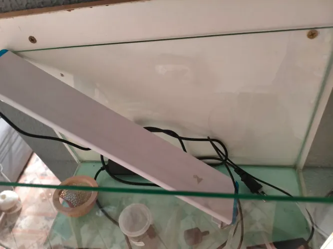 KIT DE AQUÁRIO 
