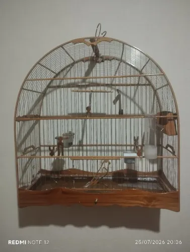 gaiola luxo curio e bicudo